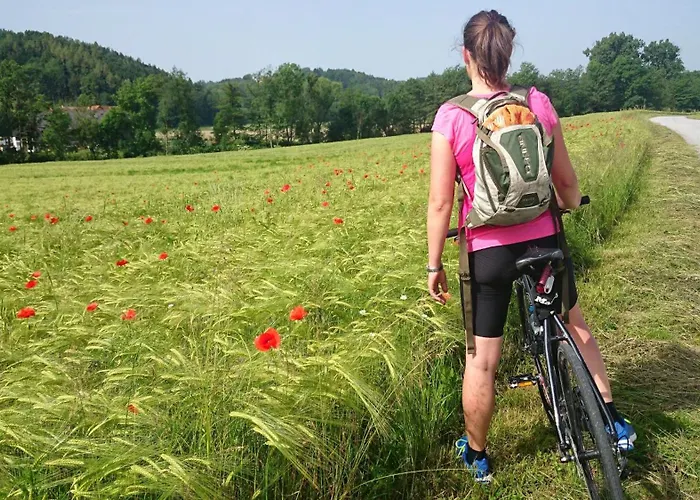 فندق Malerwinkl Restaurant + Kunsthotel Hatzendorf