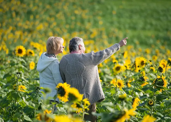 فندق Malerwinkl Restaurant + Kunsthotel