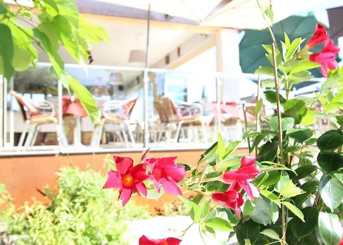 فندق Malerwinkl Restaurant + Kunsthotel 3*